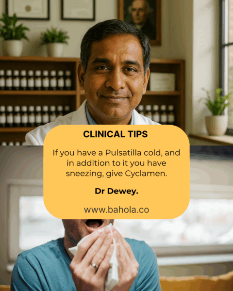 Homeopathic Clinical Tips for Colds 3 Cyclamen