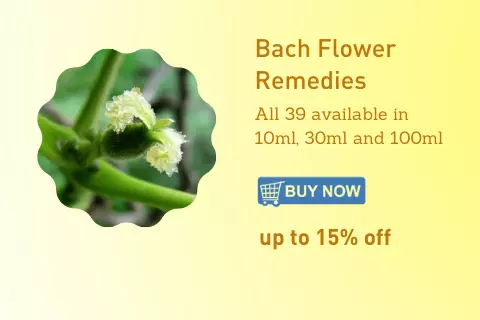 Bahola Bach flower