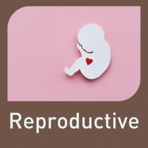 Reproductive