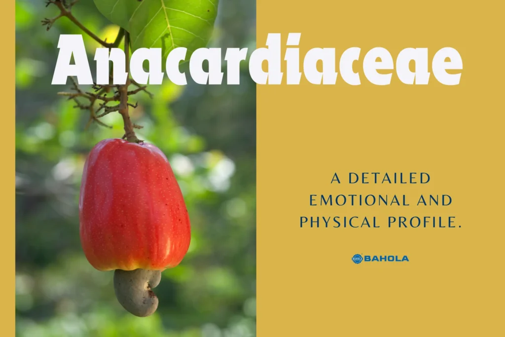 Anacardiaceae