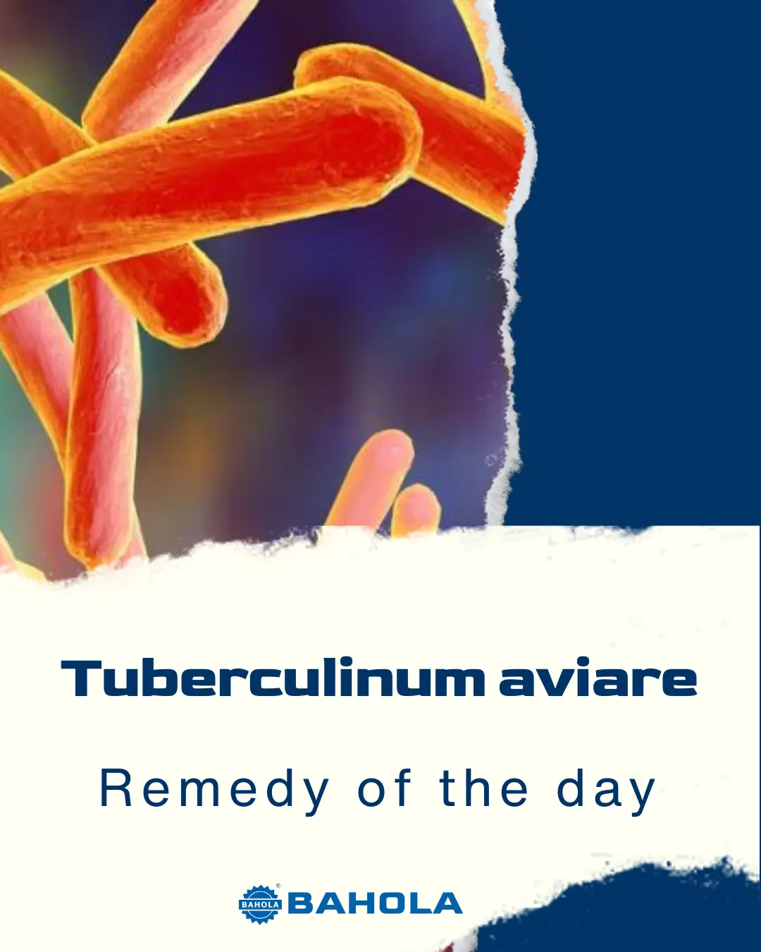 Tuberculinum aviare homeopathic remedy