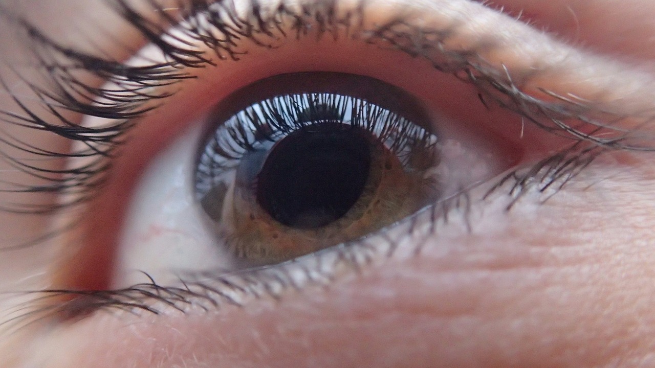 eye, human, face, vision, look, person, eyeball, iris, pupil, sight, see, looking, optical, eyesight, view, eyebrow, eyelash, eyelid, lens, cornea, retina, optometry, ophthalmologist, optician, ophthalmology, optometrist, examination, ophthalmic, visual, optic, anatomy, science, diagram, glaucoma, biology, cataract, sensory, blind, cornea, cornea, visual, glaucoma, glaucoma, glaucoma, glaucoma, cataract, blind, blind, blind, blind, blind