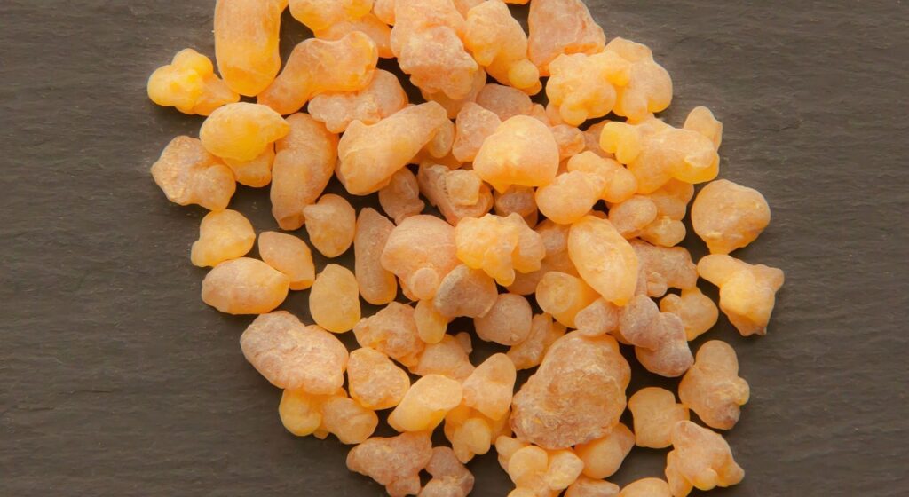 Boswellia Serrata – Materia Medica 2 boswellia sacra, oman, frankincense, incense, aromatherapy, essential oil, olibanum, resin, dyi, creating perfume, base note, brown note, frankincense, frankincense, frankincense, frankincense, frankincense
