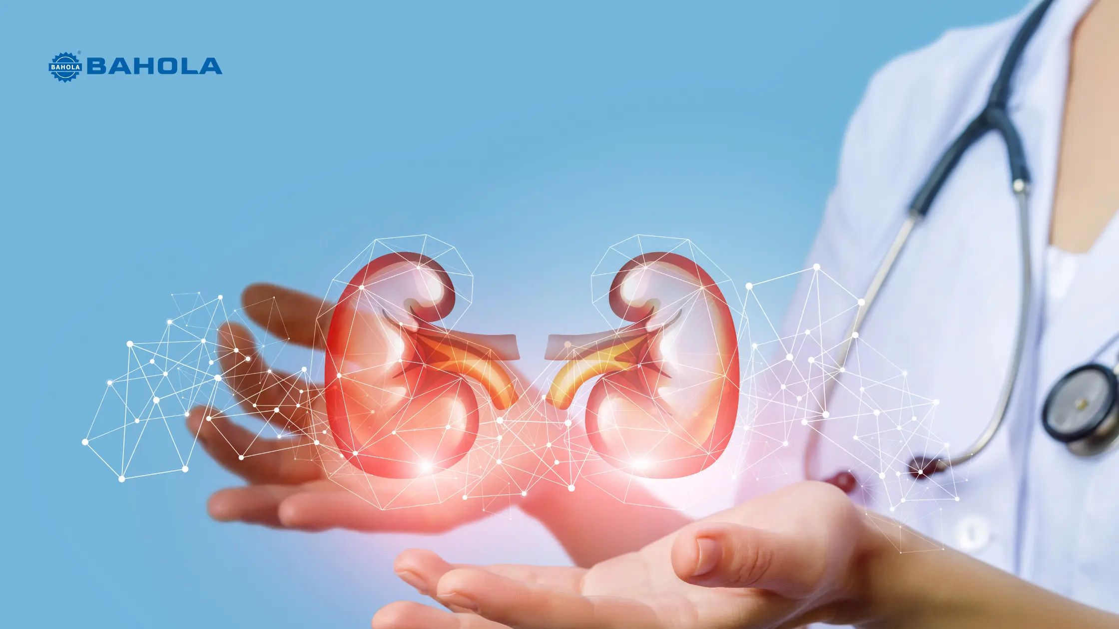 Foods for Kidney health