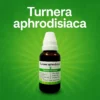 Turnera aphrodisiaca