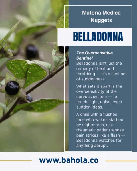 Materia Medica Nugget – Belladonna 1 Belladonna MM