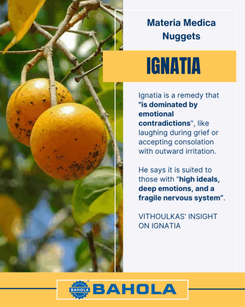 IGNATIA AMARA - MATERIA MEDICA NUGGETS 3 Ignatia Materia Medica Nugget