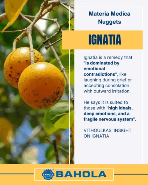 IGNATIA AMARA - MATERIA MEDICA NUGGETS 3 Ignatia Materia Medica Nugget